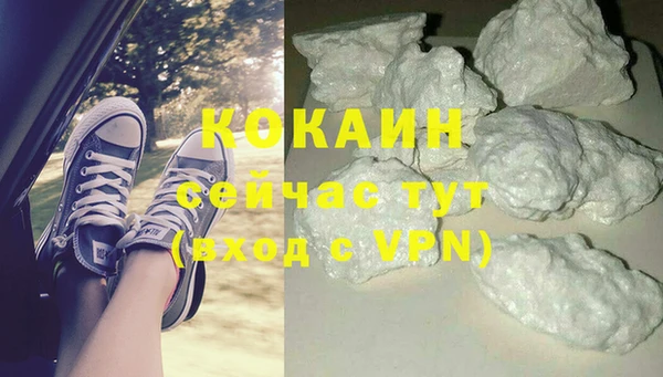 гидропоника Гусиноозёрск